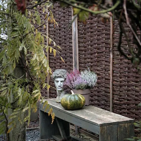 Sea Soon 3* Callantsoog