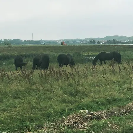 Sea Soon Bed and breakfast Callantsoog