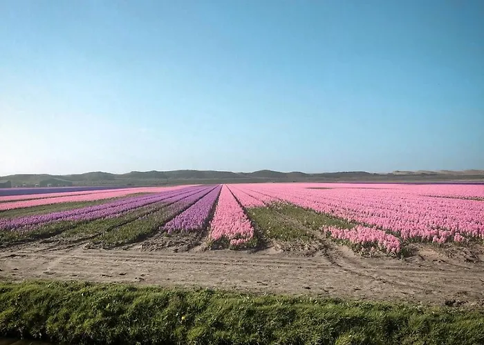 Sea Soon Bed and Breakfast Callantsoog