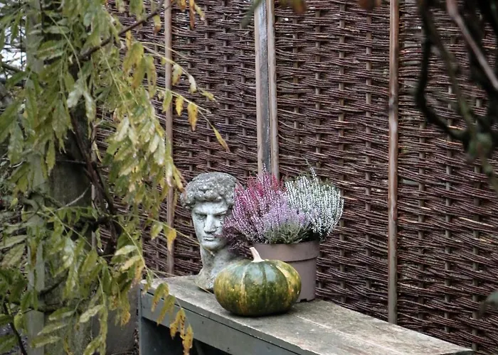 Sea Soon 3* Callantsoog