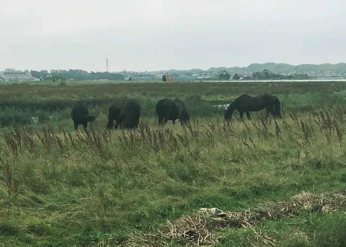 Sea Soon Bed and Breakfast Callantsoog