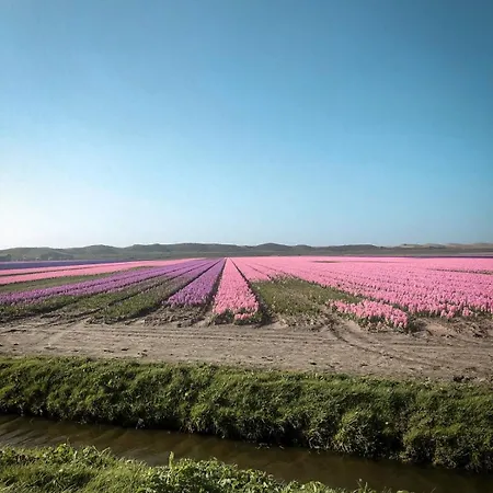 Sea Soon Frühstückspension Callantsoog